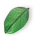 https://www.madricleaning.com/wp-content/uploads/2025/07/floating_leaf_01.png